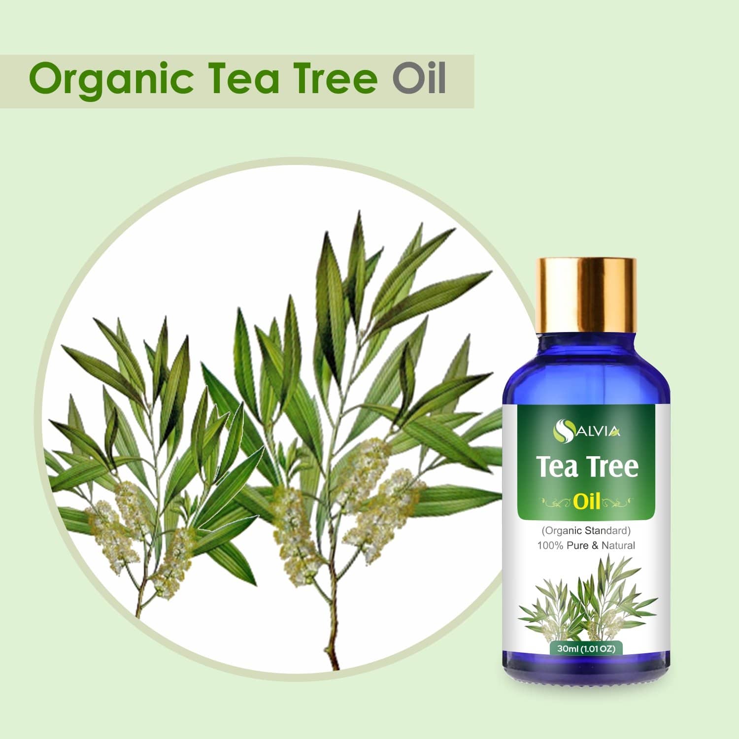 Organic Tea Tree Essential Oil benefits 